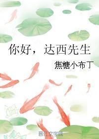 达西先生 甜宠