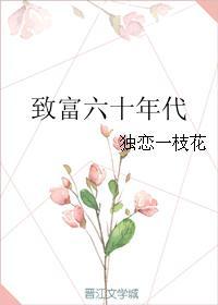 60年代媳妇发家致富