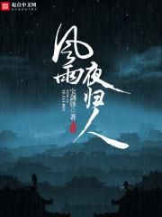 风雨夜归人正确解释