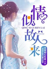 情似故人来的大概内容