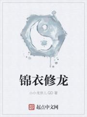 锦衣顶点