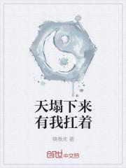 天塌下来我扛着的情话