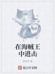 海贼王进展