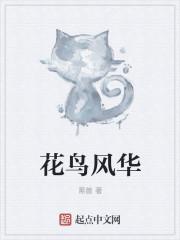 花鸟风月歌词