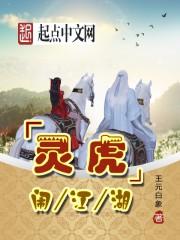 虎在江湖1一100集免费