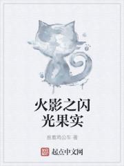 火影之闪雷之光笔趣阁