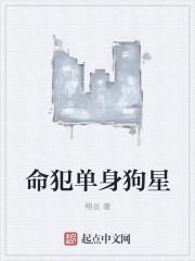 单身狗对应的是什么