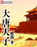 大唐天子52度酒价格及图片