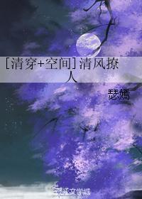 清风撩人 清穿 空间