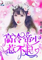 惹不起椰子絮新书