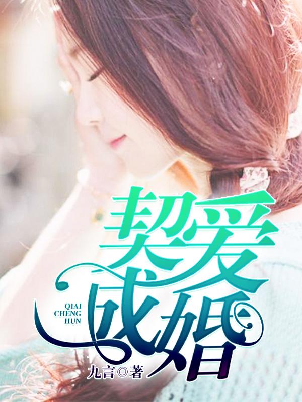 契婚txt
