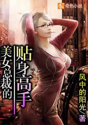 女总裁的贴身高手何岚郑成强视频