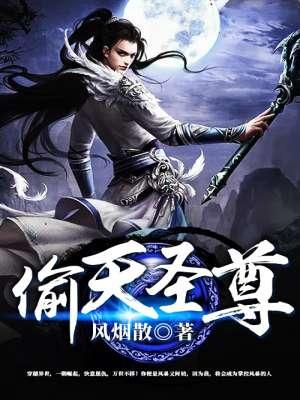 盗圣秦天