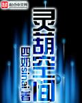 灵葫空间 简介