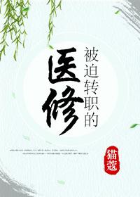 被迫转职的医修cp