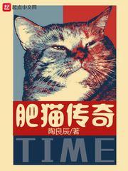 肥猫正传视频