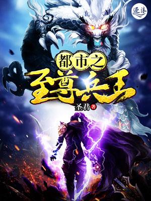 都市之至尊兵王白枫免费阅读