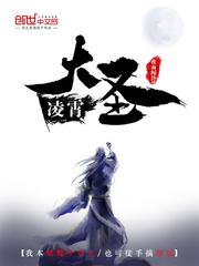 凌霄大圣txt