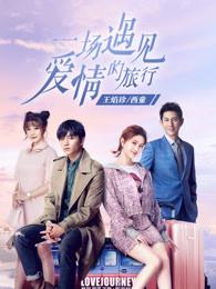 一场遇见爱情的旅行日月