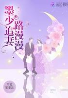 墨少追妻路漫漫TXT免费阅读全文