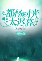 都怪时光匆匆歌词