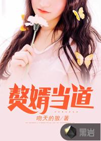 赘婿当道超级女婿免费阅读