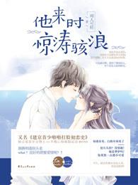 他来时惊涛骇浪书评