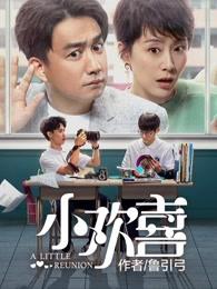 小欢喜 电视剧