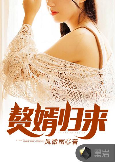 赘婿归来叶峰百度百科
