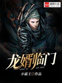 龙婿临门叶无道