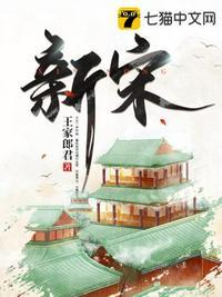 新宋石越几个老婆