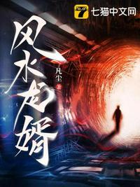 风水龙婿赖长明陈雨柔
