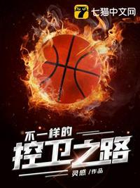 不一样的控卫之路听书