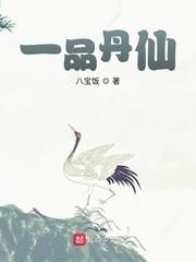 一品丹仙全本TXT