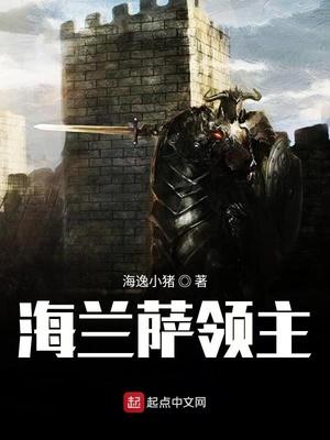 海兰萨领主收了几个