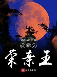红楼之我是荣亲王