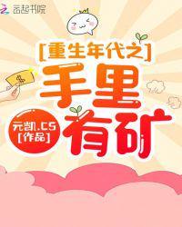 重生年代之手里有矿txt
