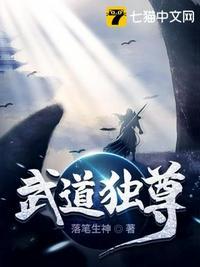 武道独尊苏兰嫁给谁了