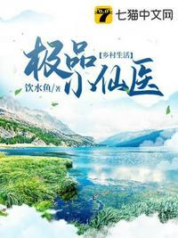 极品小医仙