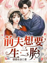 前夫想要生二胎结局