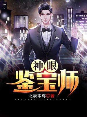 神眼鉴宝师全文阅读