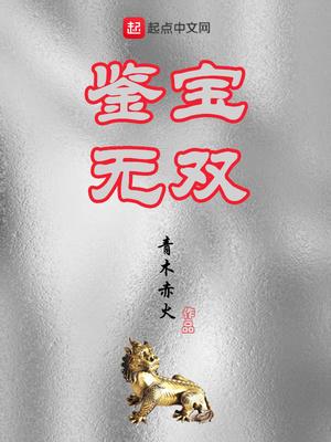 鉴宝无双11