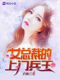 女总裁的上门兵王六夜著