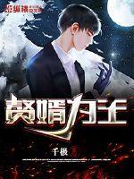赘婿之王沈默59章