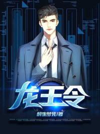 神龙令之圣子龙