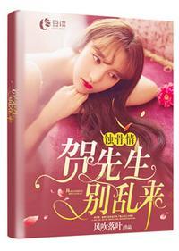 贺 先生别乱来
