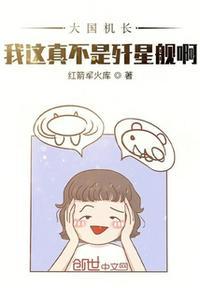 大国机长飞卢