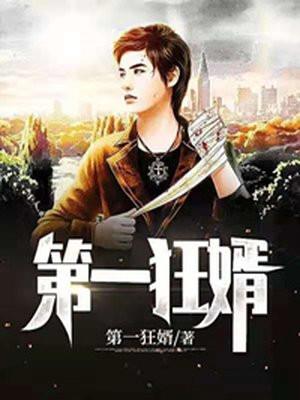 第一狂婿无弹窗