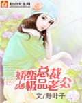 娇蛮总裁的极品老公漫画