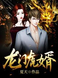 龙门虎婿短剧合集